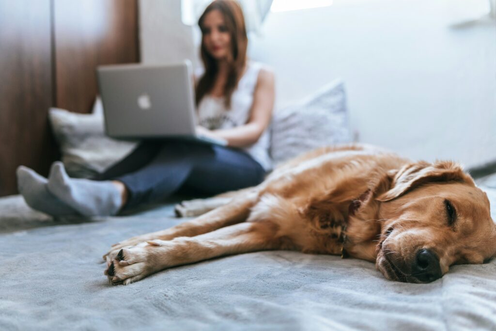 femme sur son lit avec son chien et son ordinateur